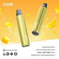 WhatsApp-Image-2023-11-21-at-12.56.18