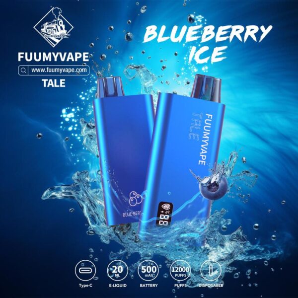 FUMMY 5% 12000 BLUEBERRY ICE