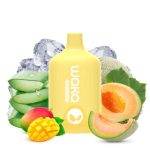 WAKA SMASH 2% 5500 MANGO MELON ALOE